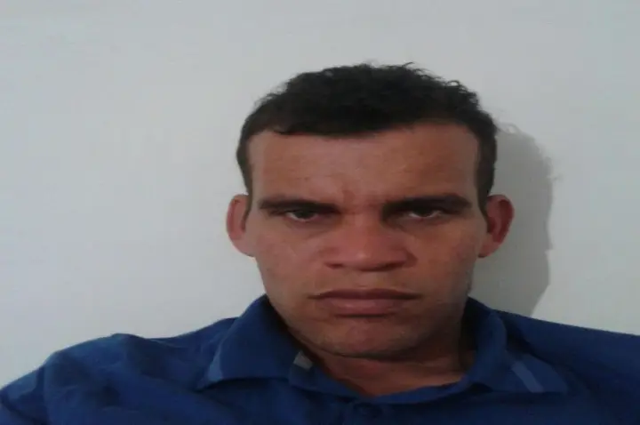 NOITE PALMEIRA