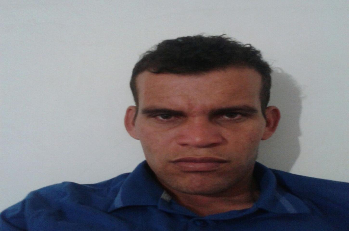 NOITE PALMEIRA